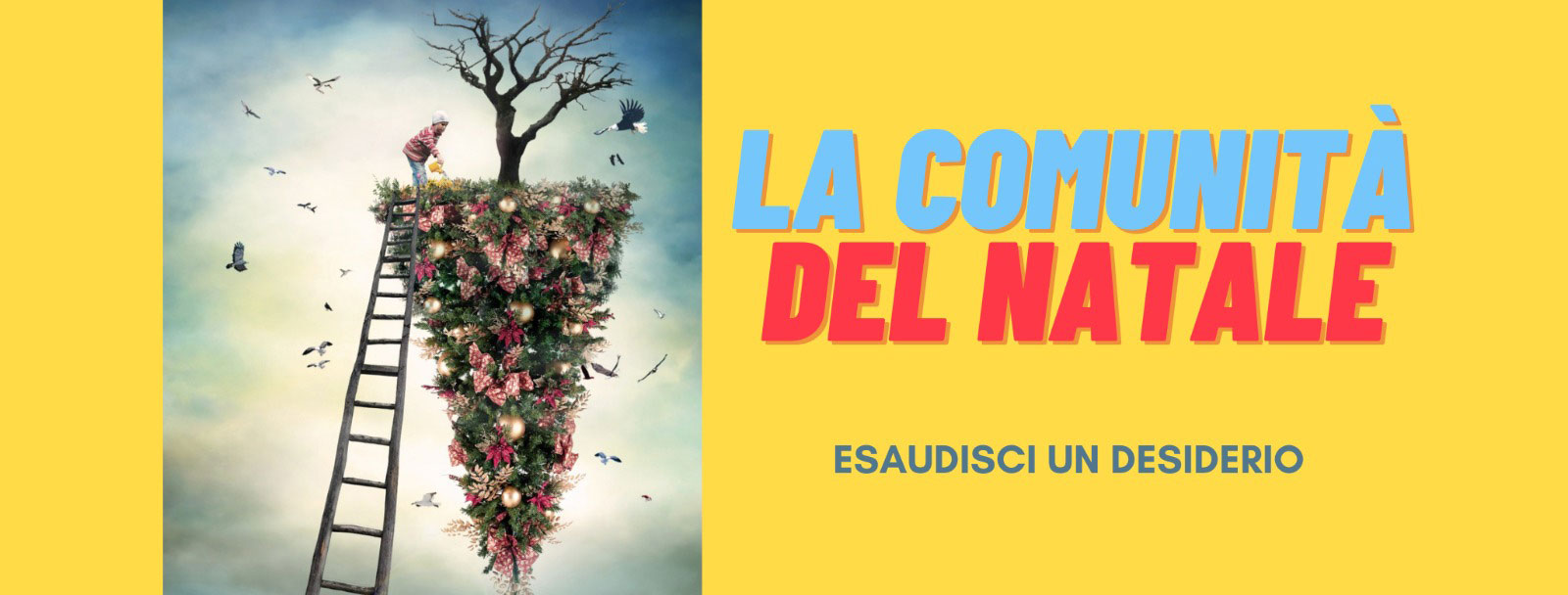 la comunita del natale web